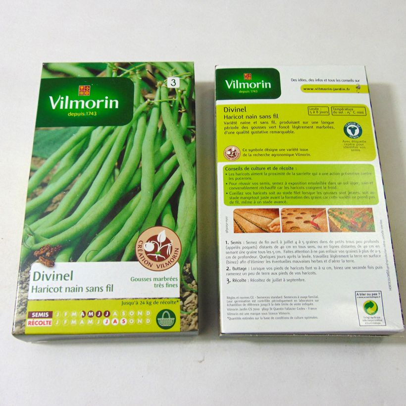 Exemple de spécimen de Haricot nain à filet Divinel (Création Vilmorin) - Vilmorin le sachet de 400 graines environ (200g) tel que livré