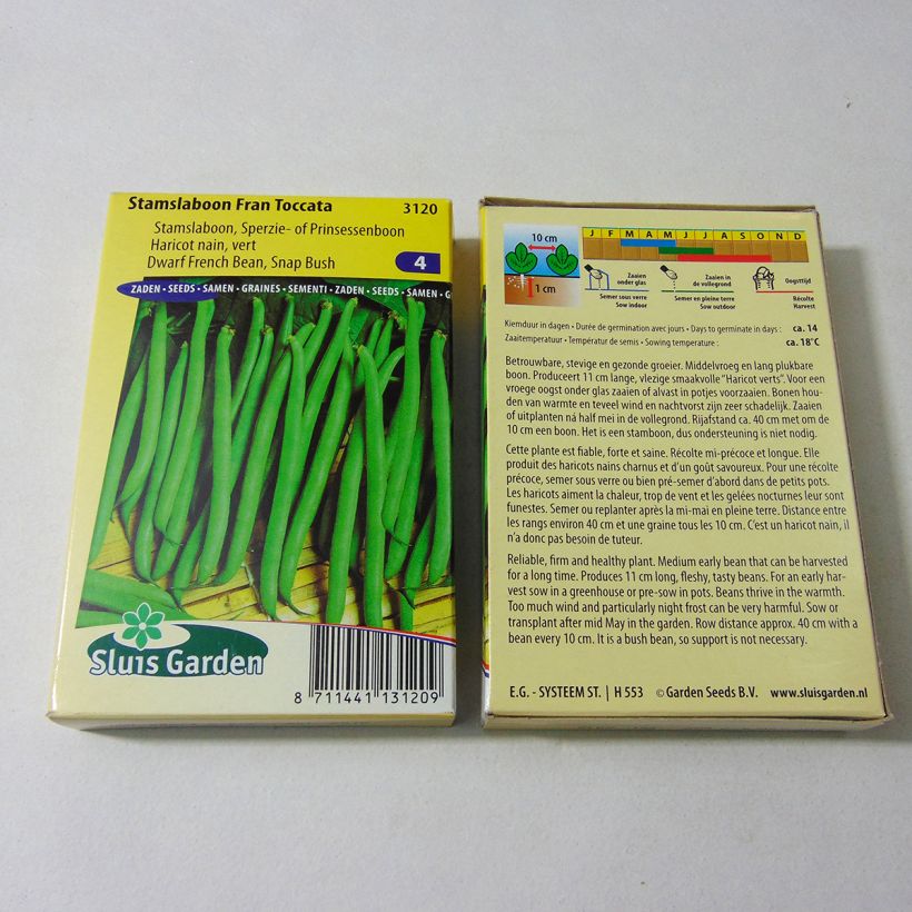 Exemple de spécimen de Haricot nain à filet Fran Toccata le sachet de 150 graines environ (75g) tel que livré