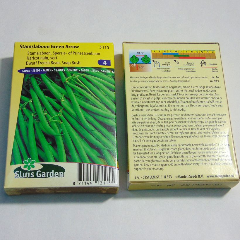 Exemple de spécimen de Haricot nain à filet Green Arrow - Phaseolus vulgaris le sachet de 150 graines environ (75g) tel que livré