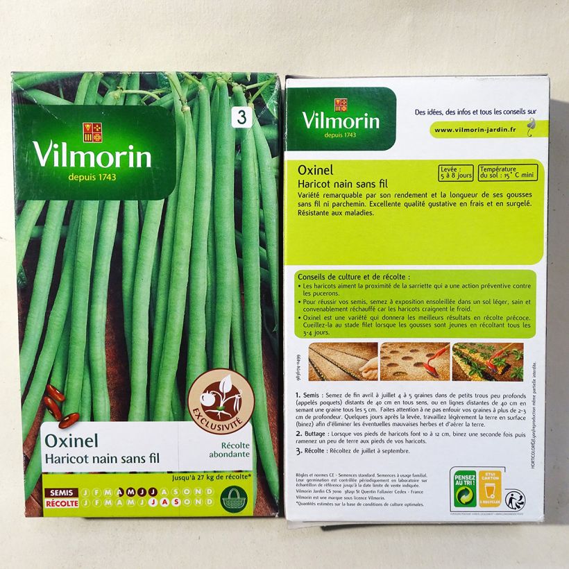 Exemple de spécimen de Haricot nain à filet Oxinel (Création Vilmorin) - Vilmorin le sachet de 400 graines environ (200g) tel que livré