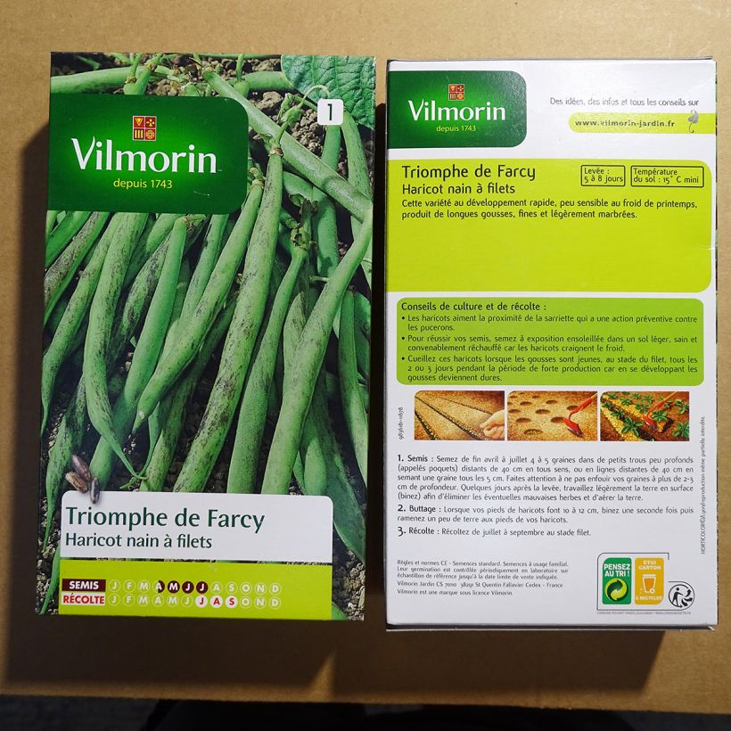 Exemple de spécimen de Haricot nain à filet Triomphe de Farcy - Vilmorin le sachet de 500 graines environ (250g) tel que livré