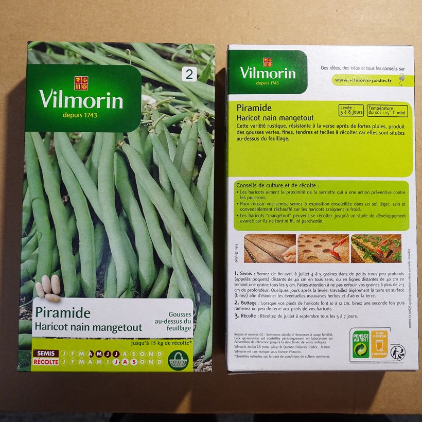 Exemple de spécimen de Haricot nain mangetout Piramide - Vilmorin le sachet de 400 graines environ (200g) tel que livré