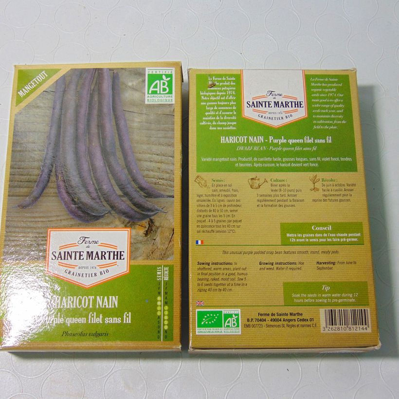 Exemple de spécimen de Haricot nain mangetout Purple Queen Bio - Ferme de Sainte Marthe  le sachet de 160 graines environ (80g) tel que livré