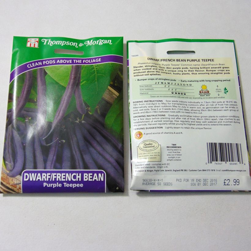 Exemple de spécimen de Haricot nain mangetout Purple Teepee le sachet de 50 graines environ tel que livré