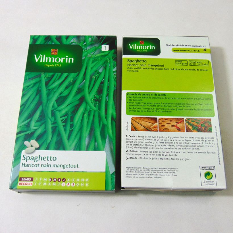 Exemple de spécimen de Haricot nain mangetout Spaghetto - Vilmorin le sachet de 350 graines environ (175g) tel que livré