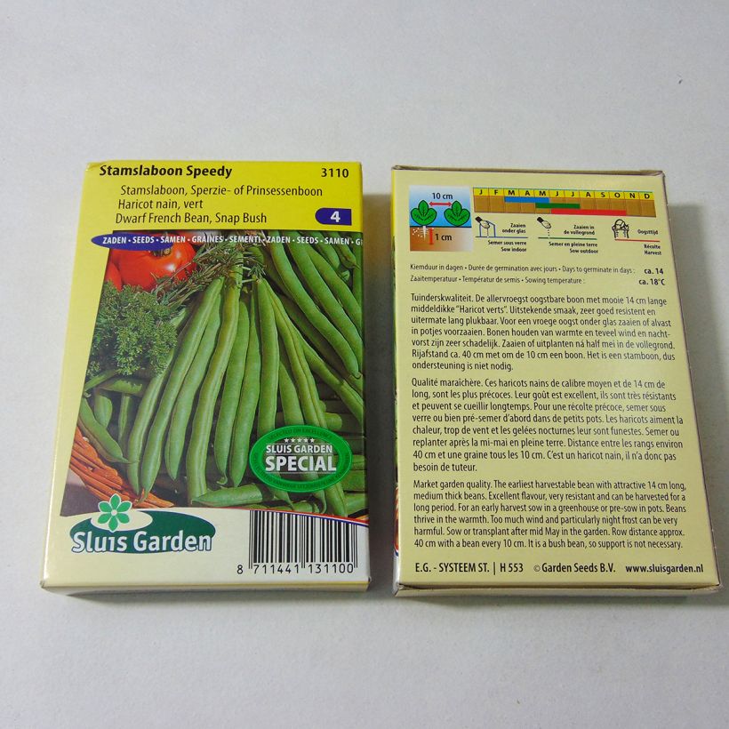 Exemple de spécimen de Haricot nain mangetout Speedy - Phaseolus vulgaris le sachet de 120 graines environ (60g) tel que livré