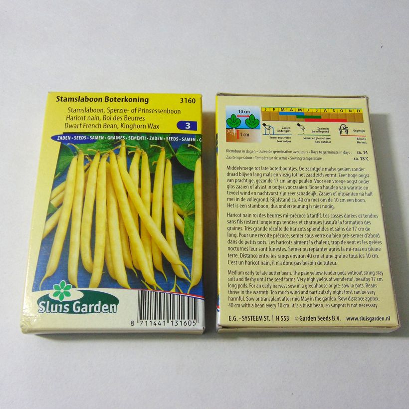Exemple de spécimen de Haricot nain mangetout beurre Roi des Beurres - Phaseolus vulgaris - le sachet de 180 graines environ (90g) tel que livré