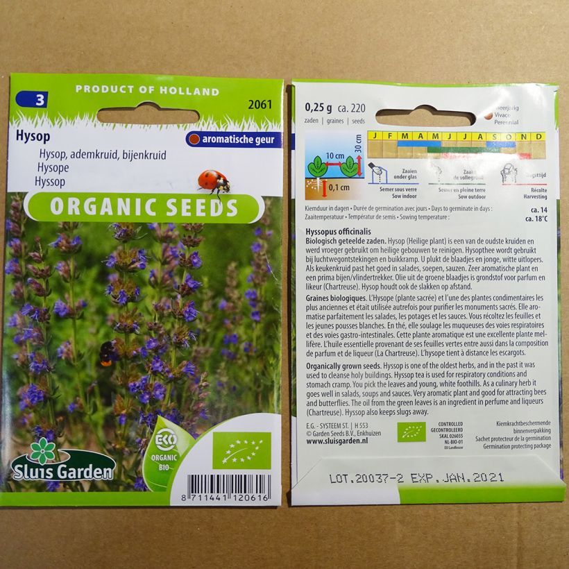 Exemple de spécimen de Hysope officinale Bio le sachet de 220 graines environ (0.25g) tel que livré