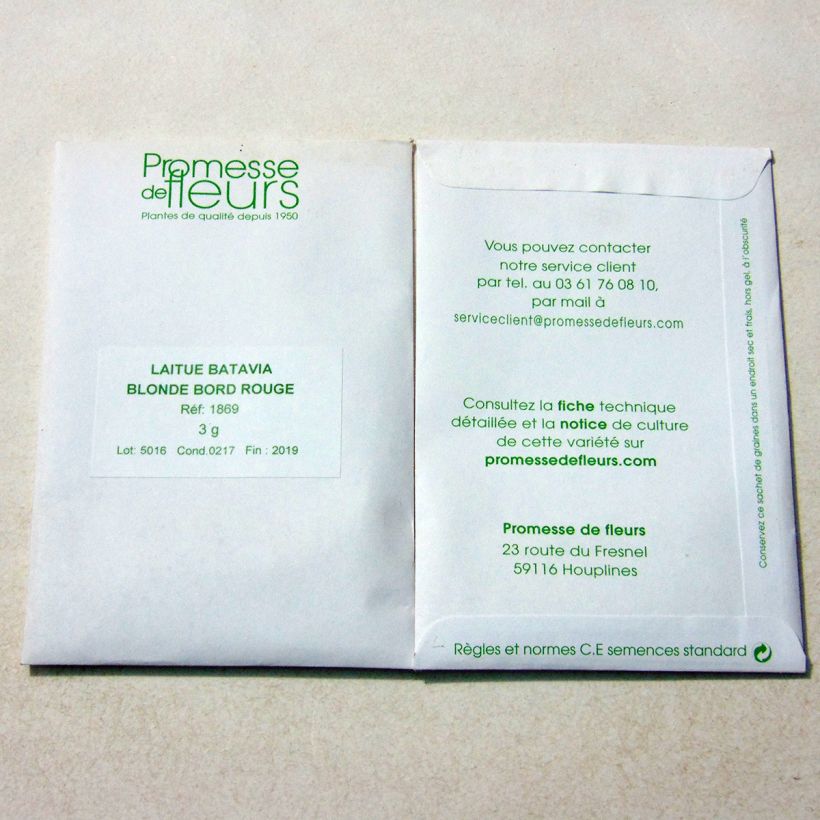 Exemple de spécimen de Laitue Batavia Blonde à bord rouge le sachet de 2500 graines environ (minimum 3g) tel que livré