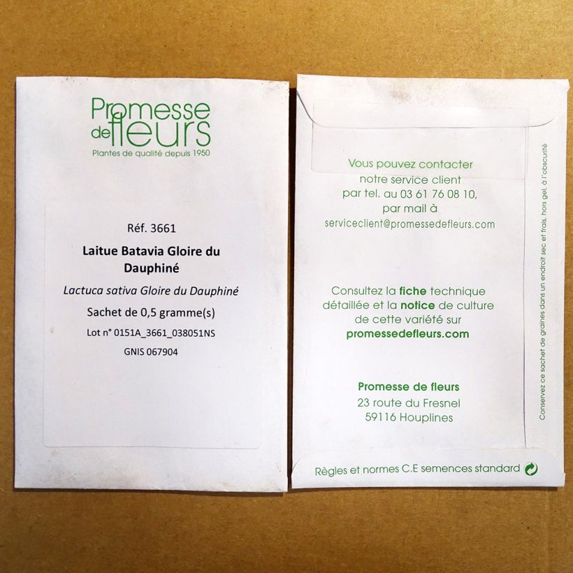 Exemple de spécimen de Laitue Batavia Gloire du Dauphiné - Lactuca sativa le sachet de 400 graines environ tel que livré