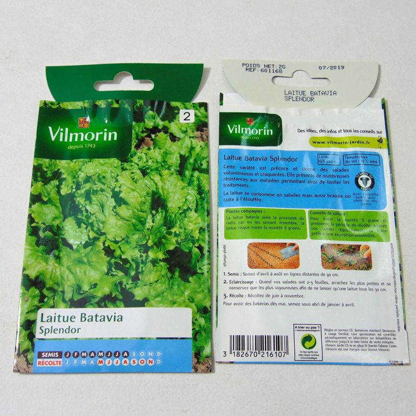 Exemple de spécimen de Laitue Batavia Splendor - Vilmorin le sachet de 1600 graines environ (2g) tel que livré