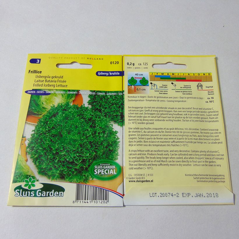 Exemple de spécimen de Laitue Batavia frisée Frillice - Lactuca sativa le sachet de 125 graines environ tel que livré