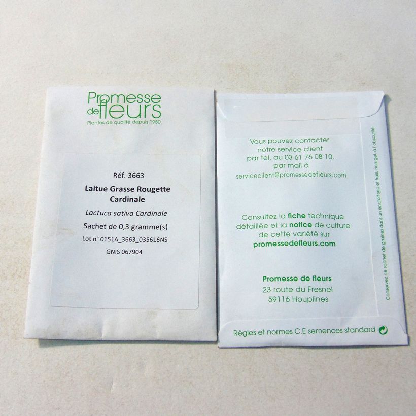 Exemple de spécimen de Laitue Grasse Rougette Cardinale - Lactuca sativa le sachet de 40 graines environ tel que livré