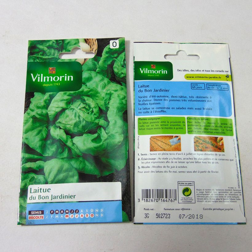 Exemple de spécimen de Laitue Pommée Du Bon Jardinier - Vilmorin le sachet de 2400 graines environ (3g) tel que livré