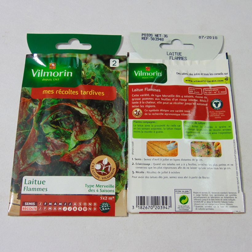 Exemple de spécimen de Laitue Pommée Flammes (Création Vilmorin) - Vilmorin le sachet de 2400 graines environ (3g) tel que livré