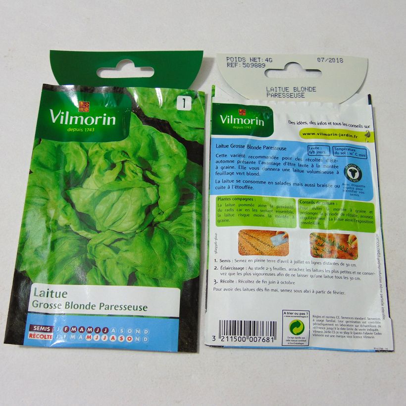 Exemple de spécimen de Laitue Pommée Grosse Blonde Paresseuse - Vilmorin le sachet de 3200 graines environ (4g) tel que livré