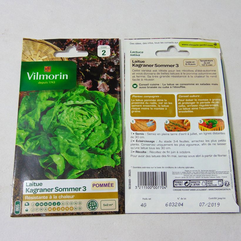 Exemple de spécimen de Laitue Pommée Kagraner Sommer 3  le sachet de 3200 graines environ (4g) tel que livré