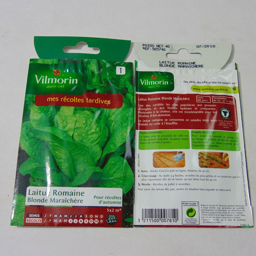 Exemple de spécimen de Laitue Romaine Blonde Maraîchère - Vilmorin le sachet de 3200 graines environ (4g) tel que livré