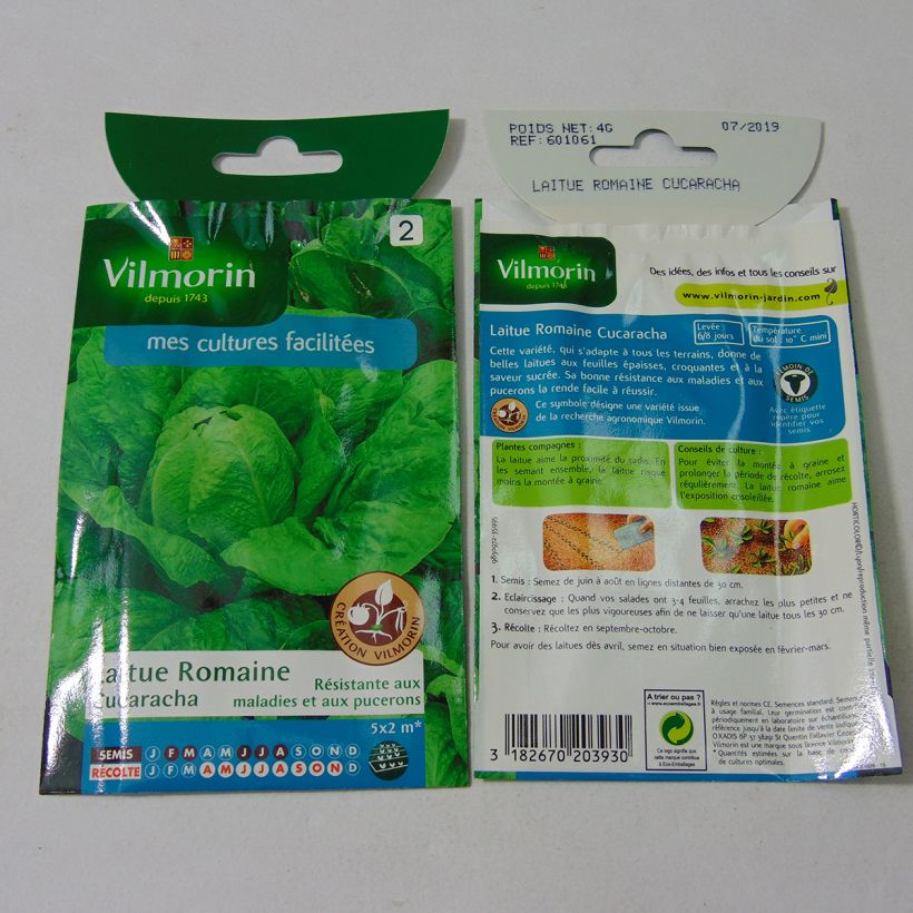 Exemple de spécimen de Laitue Romaine Cucaracha (Création Vilmorin) - Vilmorin le sachet de 3200 graines environ (4g) tel que livré