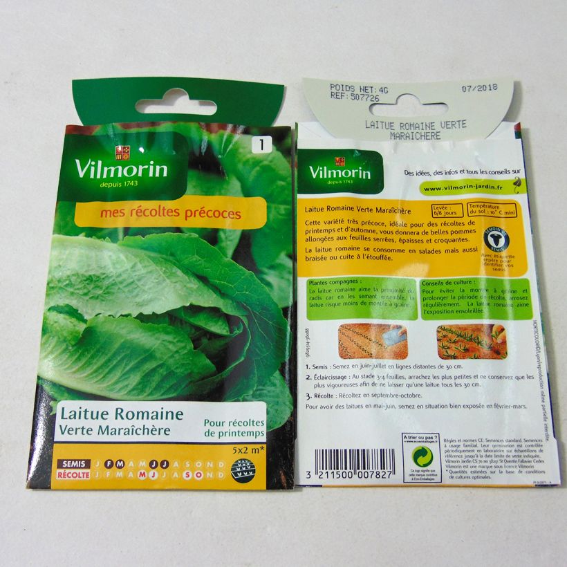 Exemple de spécimen de Laitue Romaine Verte maraîchère - Vilmorin le sachet de 3200 graines environ (4g) tel que livré