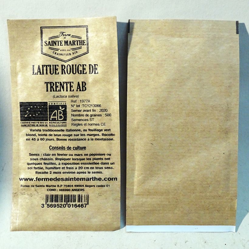 Exemple de spécimen de Laitue Rouge de Trente Rossa di Trento Bio - Ferme de Sainte Marthe le sachet de 500 graines environ tel que livré