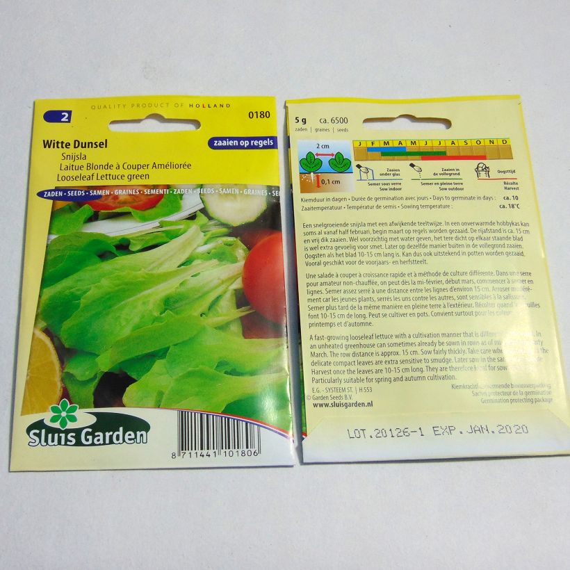 Exemple de spécimen de Laitue à couper Blonde améliorée - Lactuca sativa le sachet de 6500 graines environ (5g) tel que livré