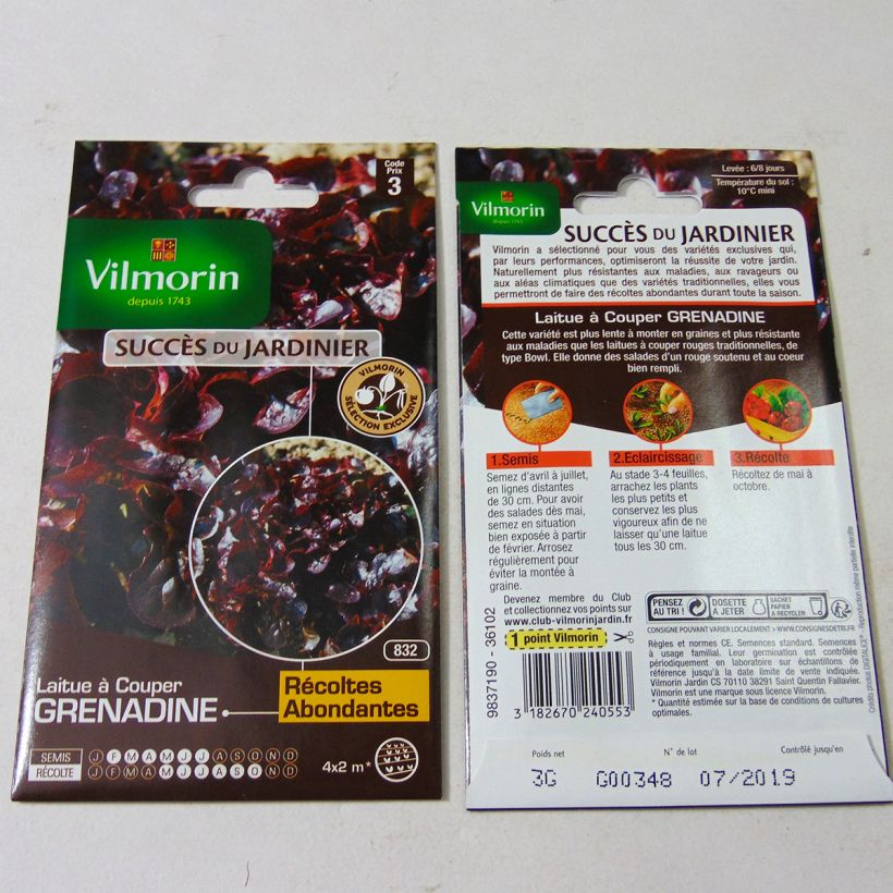 Exemple de spécimen de Laitue à couper Feuille de Chêne Grenadine (Obtention Vilmorin) - Vilmorin le sachet de 3000 graines environ (3g) tel que livré