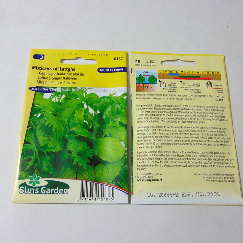 Example of Laitue à couper Italienne Misticanza di Lattghe - Mélange - Mesclun le sachet de 1500 graines environ (2g) as you get