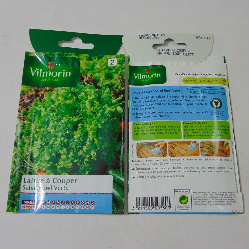 Exemple de spécimen de Laitue à couper Salad Bowl verte - Vilmorin le sachet de 3200 graines environ (4g) tel que livré