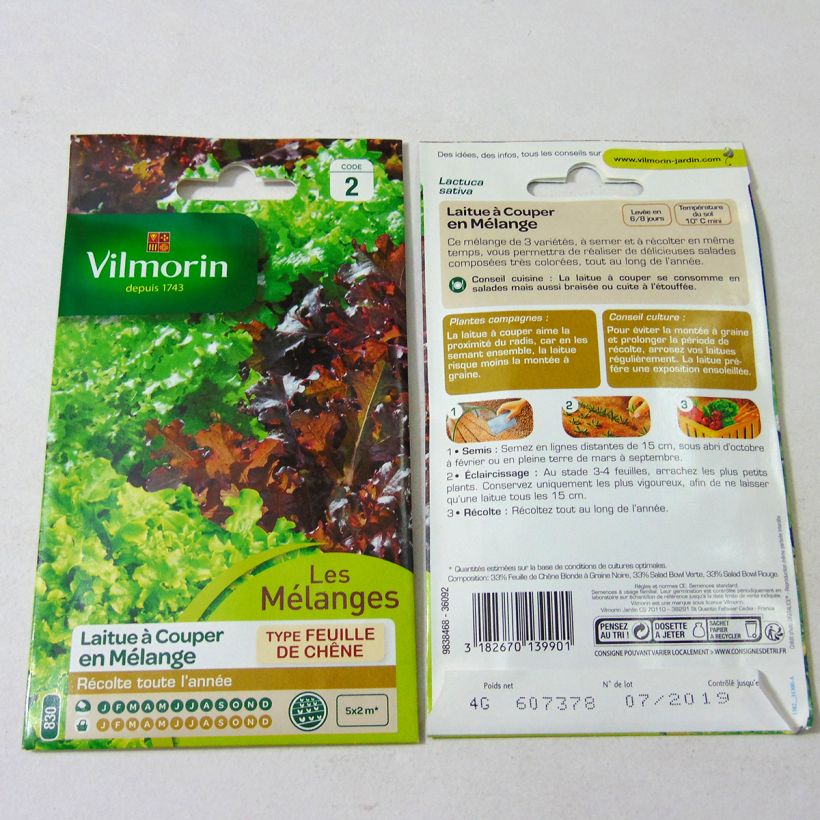 Exemple de spécimen de Laitue à couper en mélange (Bowl verte et rouge) - Vilmorin le sachet de 4000 graines environ (4g) tel que livré