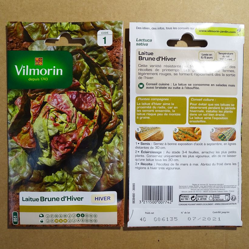 Exemple de spécimen de Laitue d'Hiver Brune d'Hiver - Vilmorin le sachet de 3200 graines environ (4g) tel que livré
