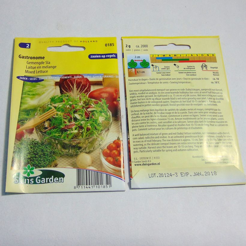 Exemple de spécimen de Laitue en mélange Gastronome - Lactuca sativa le sachet de 2000 graines environ (2g) tel que livré