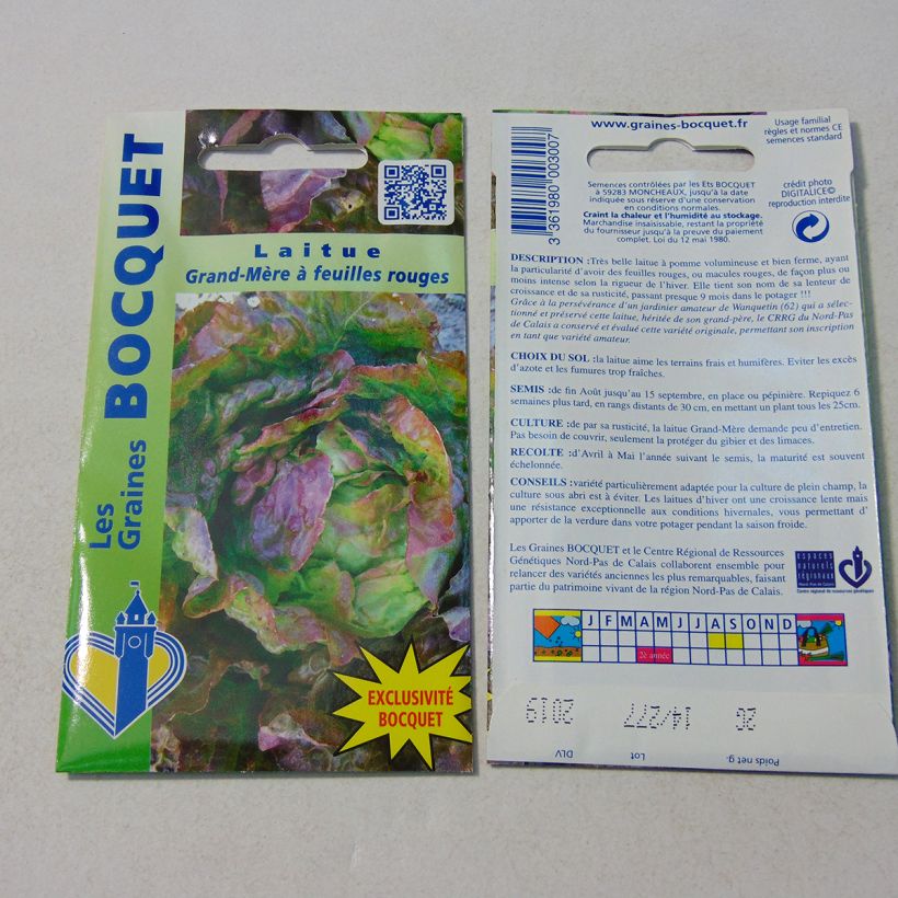 Exemple de spécimen de Laitue pommée Grand-mère à feuilles rouge - Lactuca sativa  le sachet de 1600 graines environ (2g) tel que livré