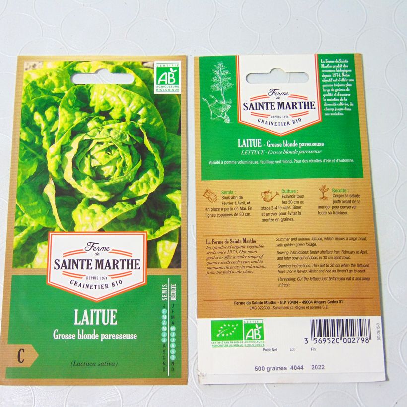 Exemple de spécimen de Laitue pommée Grosse Blonde Paresseuse Bio - Ferme de Sainte Marthe le sachet de 500 graines environ tel que livré