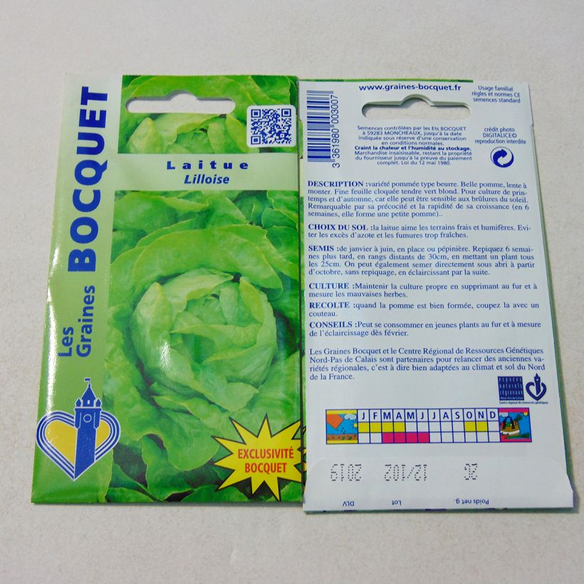Exemple de spécimen de Laitue pommée Lilloise - Lactuca sativa  le sachet de 1600 graines environ (2g) tel que livré