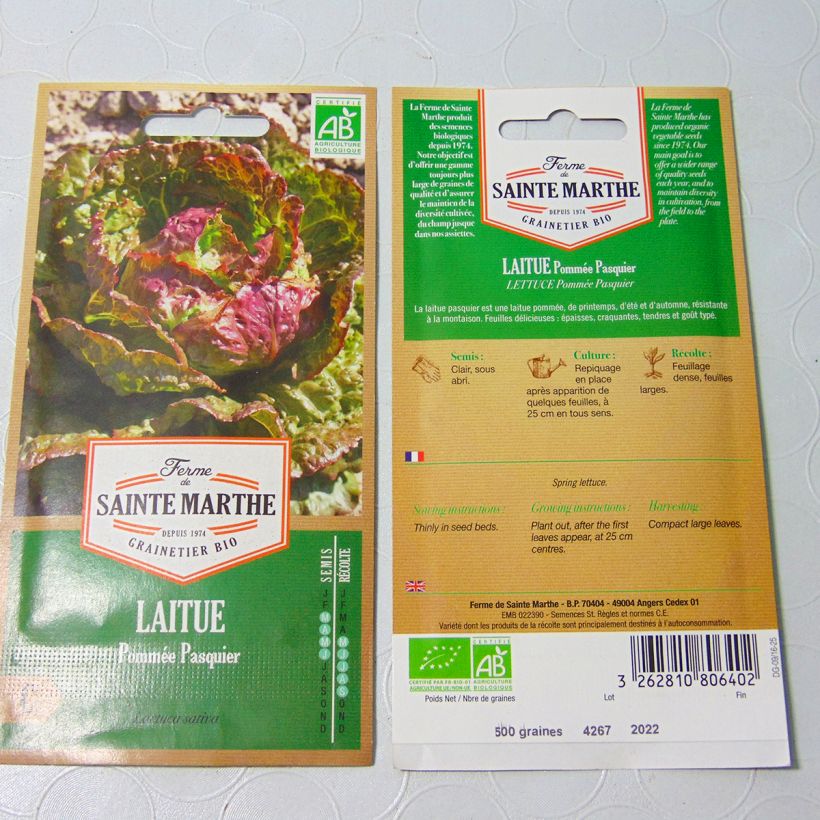 Exemple de spécimen de Laitue pommée Pasquier Bio - Ferme de Sainte Marthe le sachet de 600 graines environ tel que livré