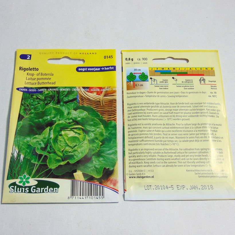 Exemple de spécimen de Laitue pommée Rigoletto - Lactuca sativa le sachet de 900 graines environ tel que livré