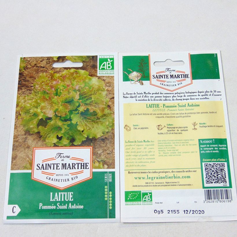 Example of Laitue pommée Saint Antoine Bio - Ferme de Sainte Marthe le sachet de 500 graines environ as you get