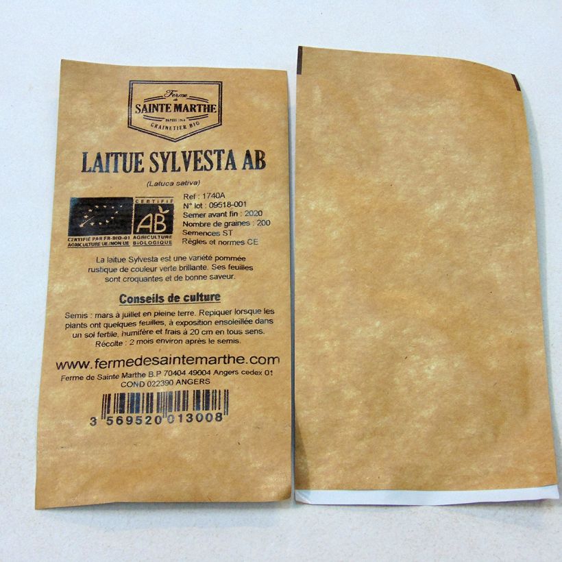 Exemple de spécimen de Laitue pommée Sylvesta Bio - Ferme de Sainte Marthe le sachet de 200 graines environ tel que livré