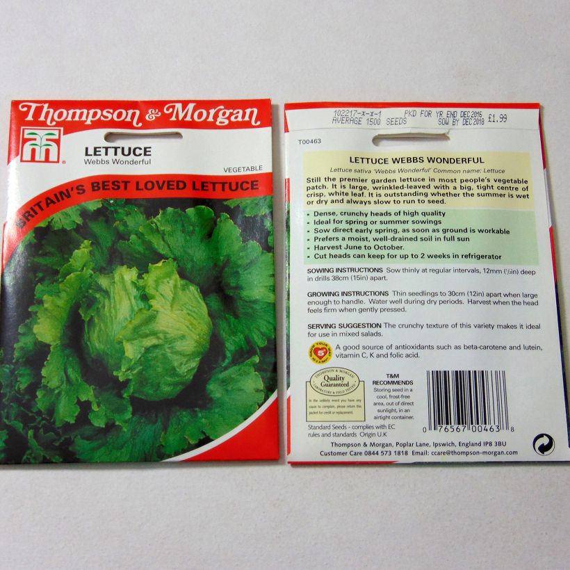Exemple de spécimen de Laitue pommée Webbs Wonderful le sachet de 1500 graines environ tel que livré