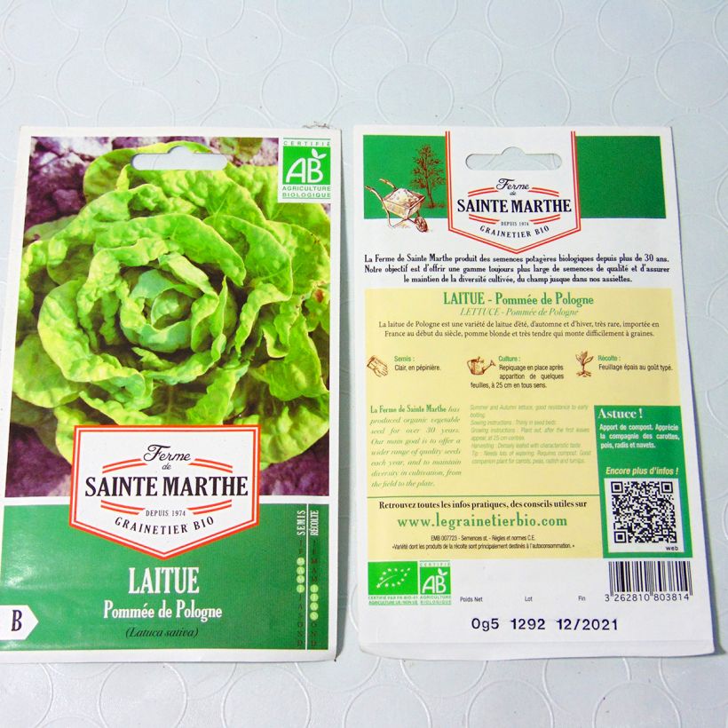 Exemple de spécimen de Laitue pommée de Pologne Bio - Ferme de Sainte Marthe le sachet de 500 graines environ tel que livré