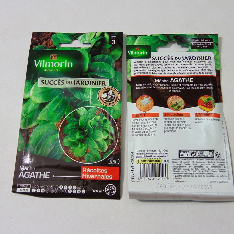Exemple de spécimen de Mâche Agathe - Vilmorin le sachet de 2600 graines environ (4g) tel que livré