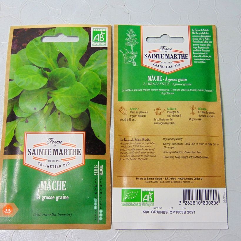 Exemple de spécimen de Mâche à Grosse Graine Bio - Ferme de Sainte Marthe le sachet de 300 graines environ tel que livré