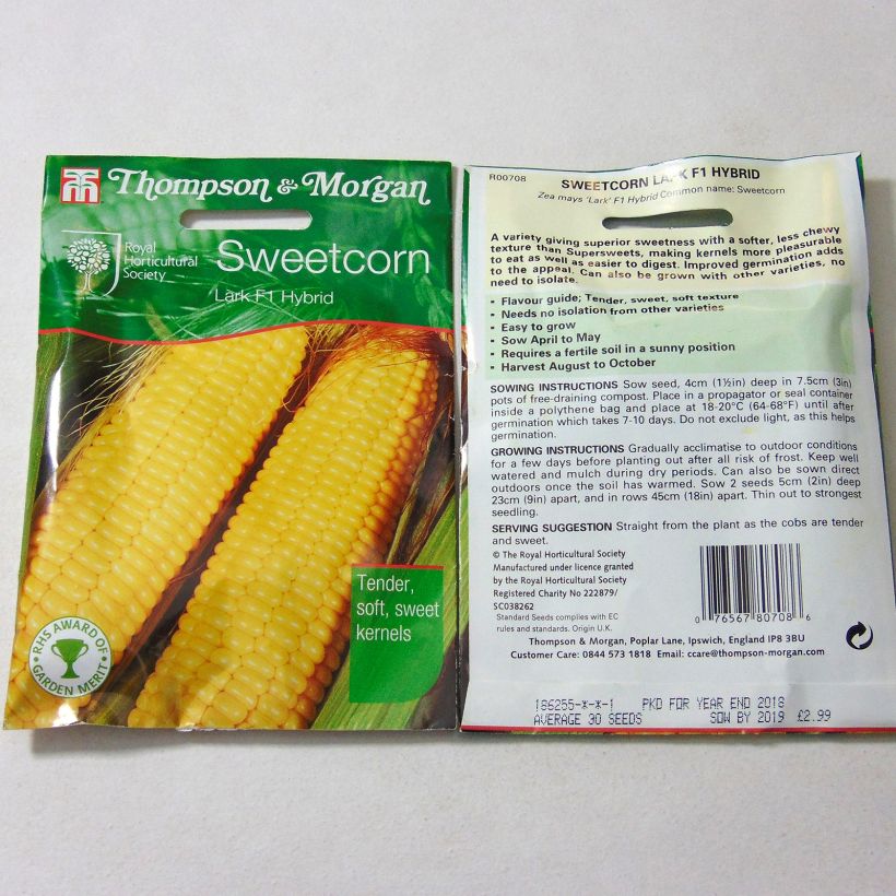 Exemple de spécimen de Maïs doux sucré Lark F1  - Zea mays le sachet de 30 graines environ tel que livré