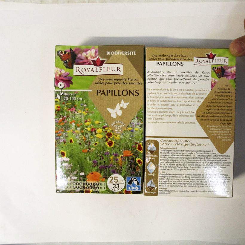 Exemple de spécimen de Mélange pour attirer les papillons - Boite 25 m2 Boite pour 25 m² tel que livré