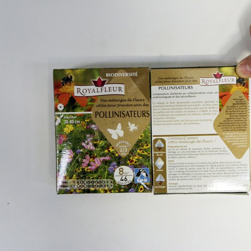 Exemple de spécimen de Mélange pour attirer les pollinisateurs - Boite 8 m2 Boite pour 8 m² tel que livré