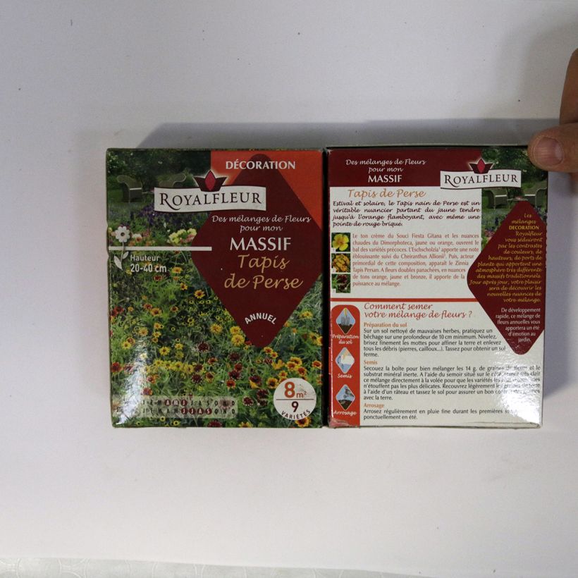 Exemple de spécimen de Mélange pour massif tapis de Perse- Boite 8 m2 Boite pour 8 m² tel que livré