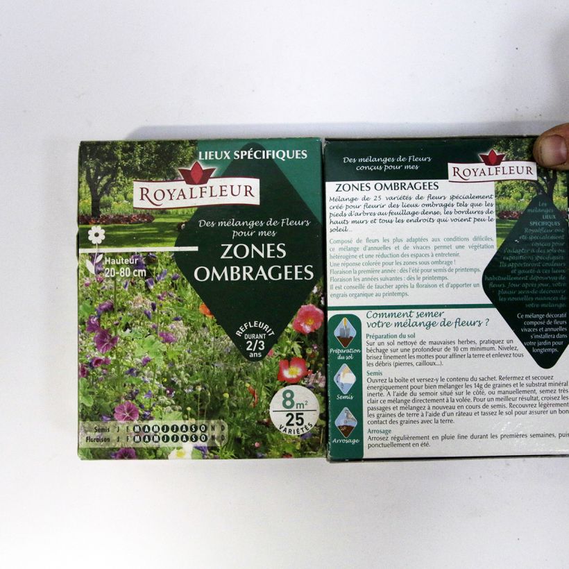 Exemple de spécimen de Mélange pour zones ombragées - Boite 8 m2 Boite pour 8 m² tel que livré