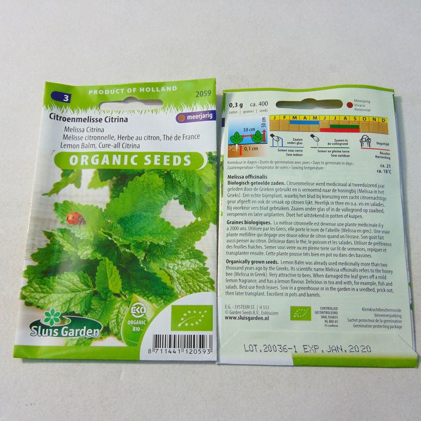 Exemple de spécimen de Mélisse citronnelle Bio Graines le sachet de +/- 1000 graines environ (minimum 0,6g) tel que livré