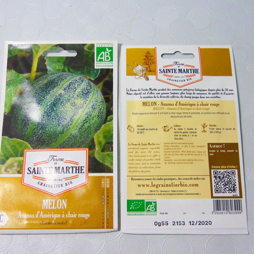 Exemple de spécimen de Melon Ananas d'Amérique à Chair Rouge Bio - Ferme de Sainte Marthe le sachet de 15 graines environ tel que livré